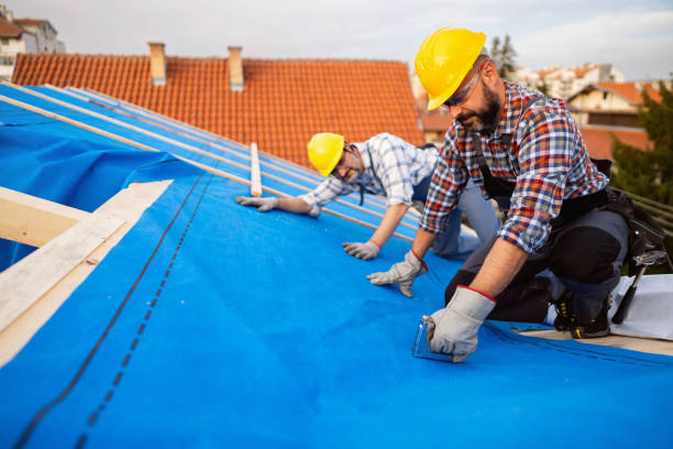 Best Roof Ventilation Installation  in Fort Lee, VA